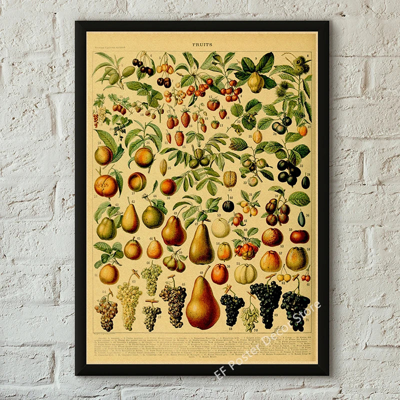 Vibey Botanical Retro Prints | Vintage Art Decor