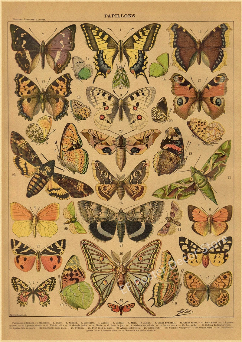 Vibey Botanical Retro Prints | Vintage Art Decor