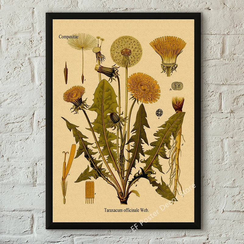Vibey Botanical Retro Prints | Vintage Art Decor