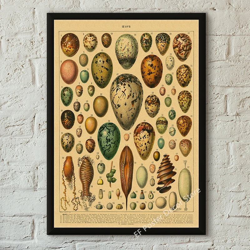 Vibey Botanical Retro Prints | Vintage Art Decor