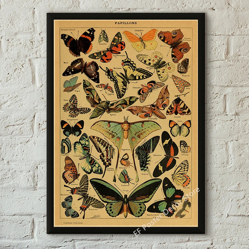 Vibey Botanical Retro Prints | Vintage Art Decor