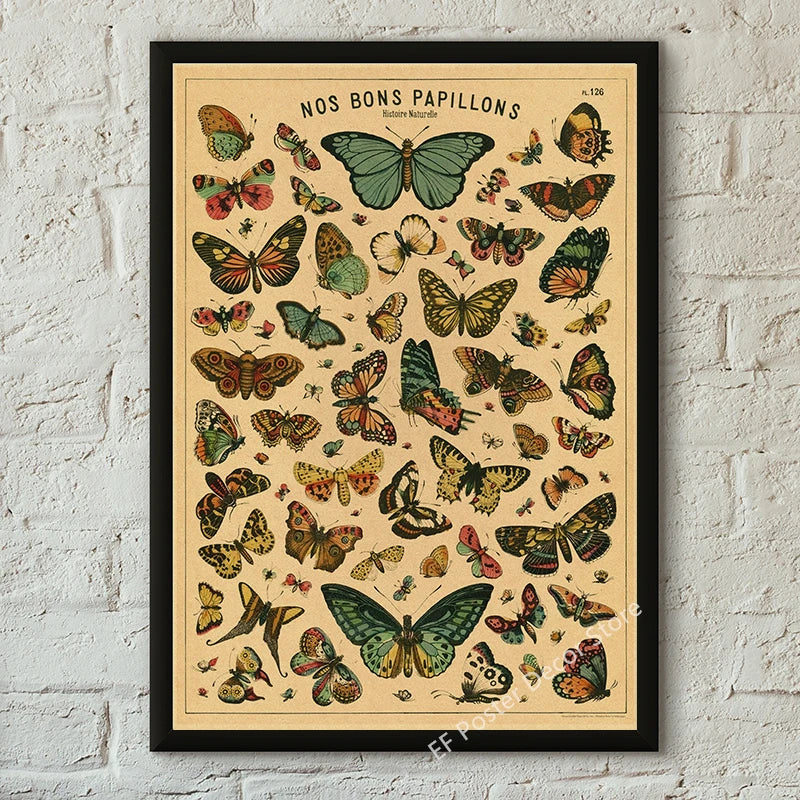Vibey Botanical Retro Prints | Vintage Art Decor