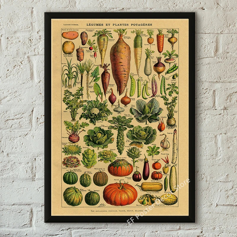 Vibey Botanical Retro Prints | Vintage Art Decor