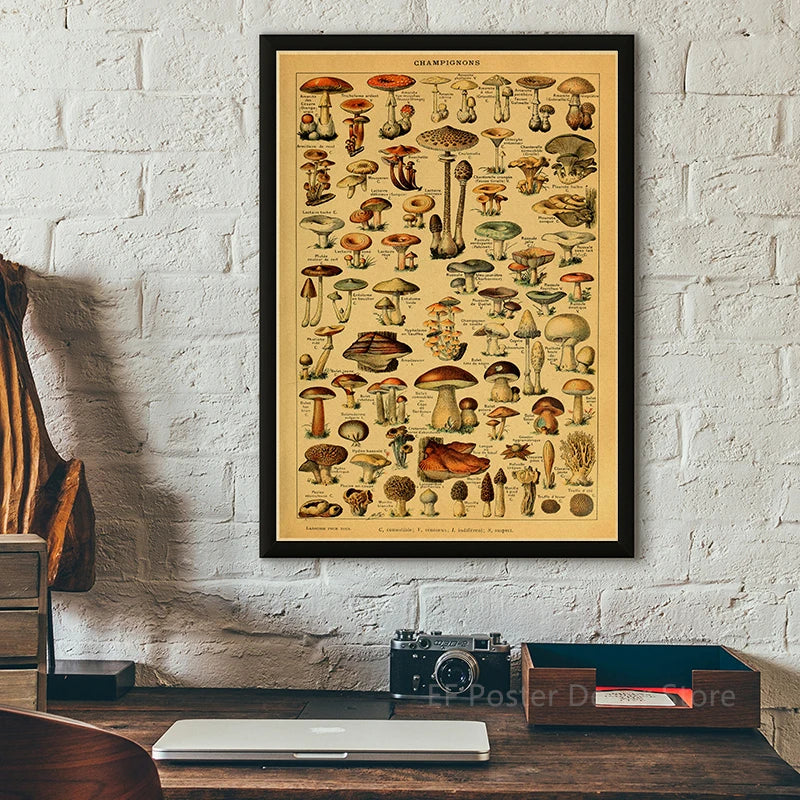Vibey Botanical Retro Prints | Vintage Art Decor