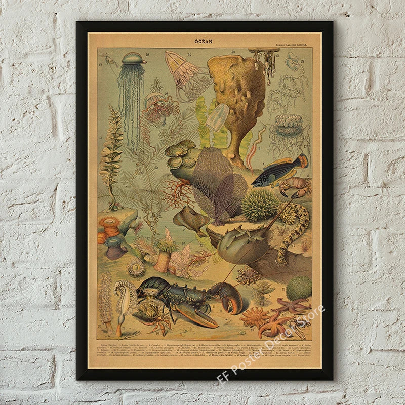 Vibey Botanical Retro Prints | Vintage Art Decor