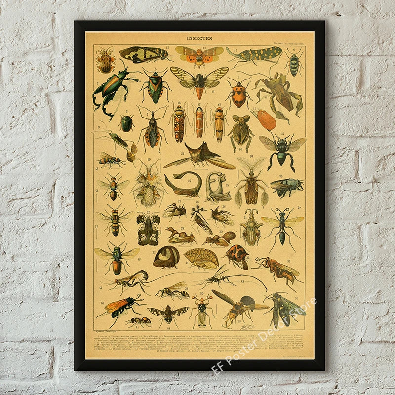 Vibey Botanical Retro Prints | Vintage Art Decor