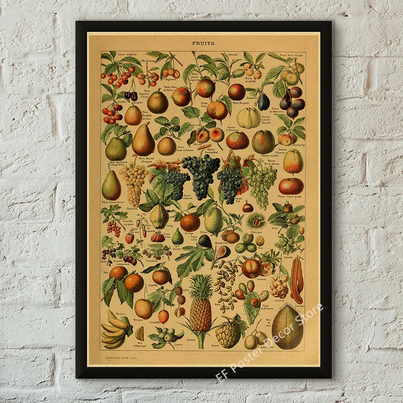 Vibey Botanical Retro Prints | Vintage Art Decor