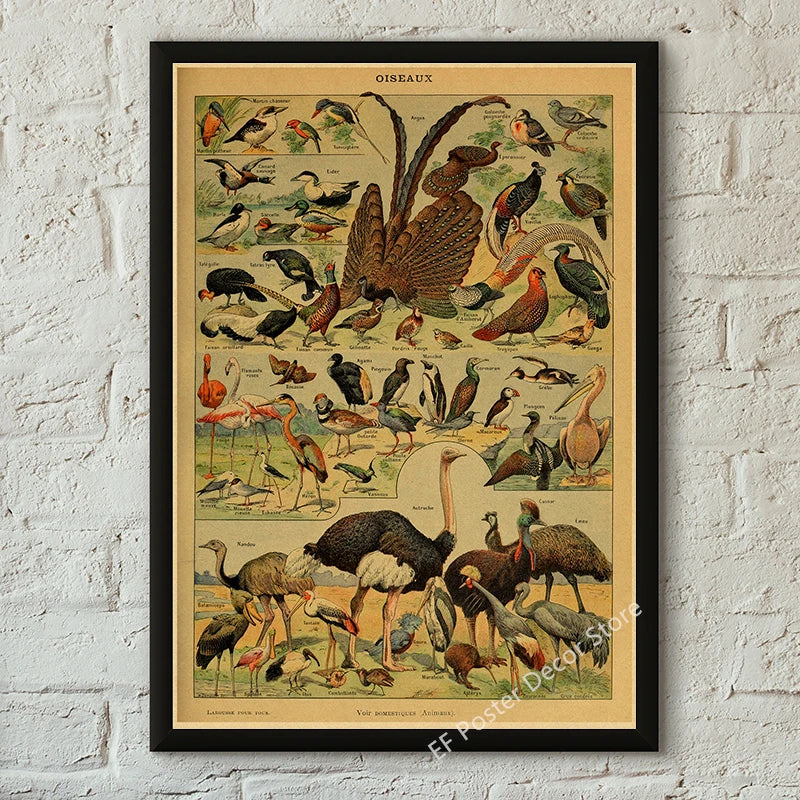 Vibey Botanical Retro Prints | Vintage Art Decor