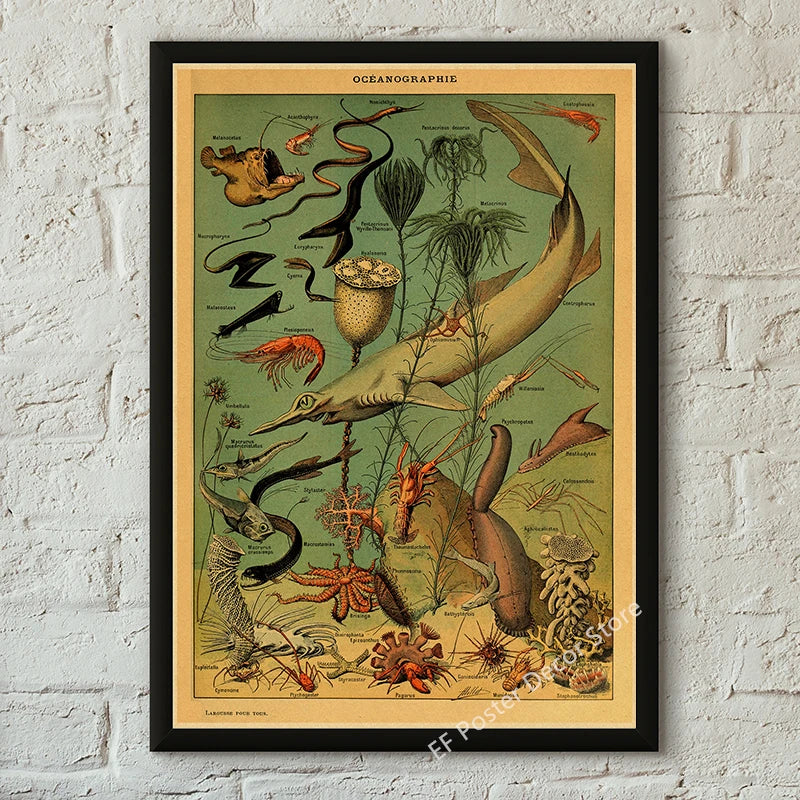 Vibey Botanical Retro Prints | Vintage Art Decor