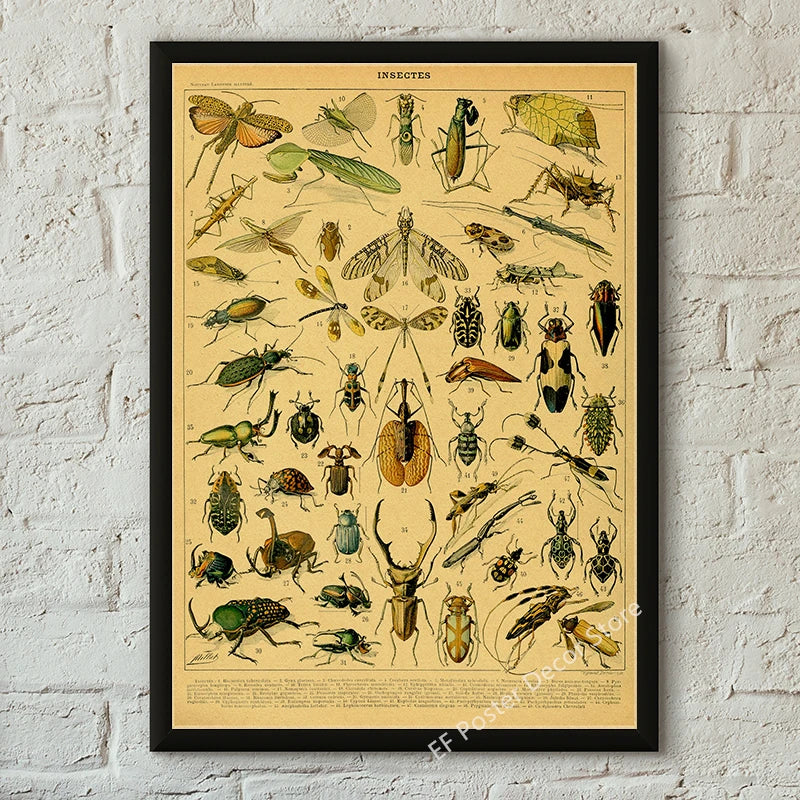Vibey Botanical Retro Prints | Vintage Art Decor