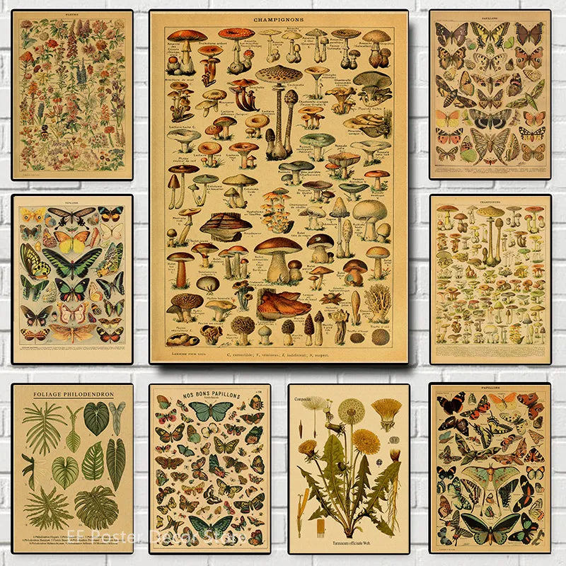 Vibey Botanical Retro Prints | Vintage Art Decor