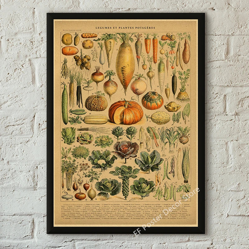 Vibey Botanical Retro Prints | Vintage Art Decor
