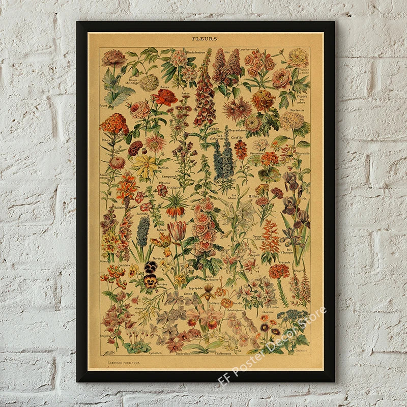 Vibey Botanical Retro Prints | Vintage Art Decor