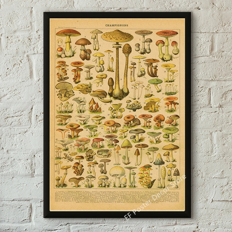 Vibey Botanical Retro Prints | Vintage Art Decor