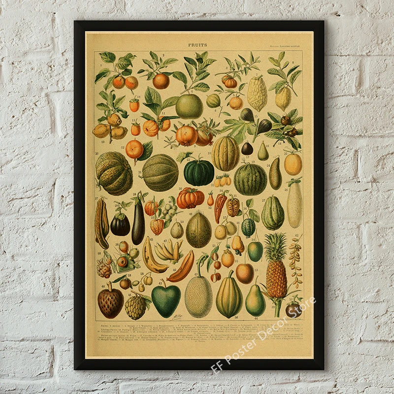 Vibey Botanical Retro Prints | Vintage Art Decor