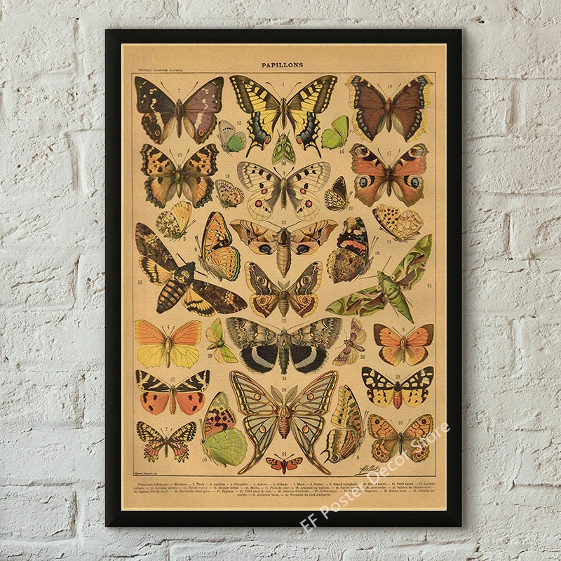 Vibey Botanical Retro Prints | Vintage Art Decor