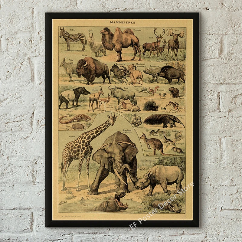 Vibey Botanical Retro Prints | Vintage Art Decor