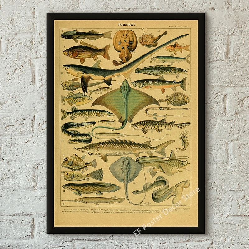 Vibey Botanical Retro Prints | Vintage Art Decor
