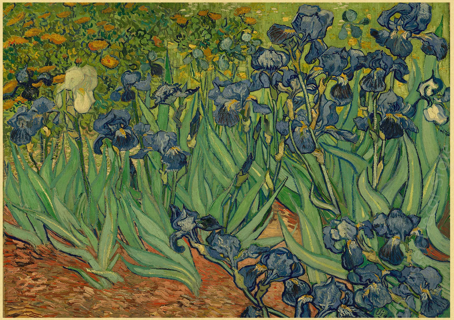 Vinnie's Van Gogh Posters | Masterful Art Replicas
