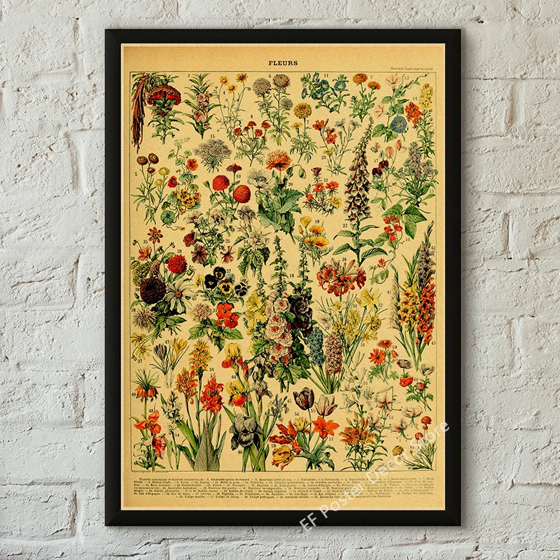 Vibey Botanical Retro Prints | Vintage Art Decor