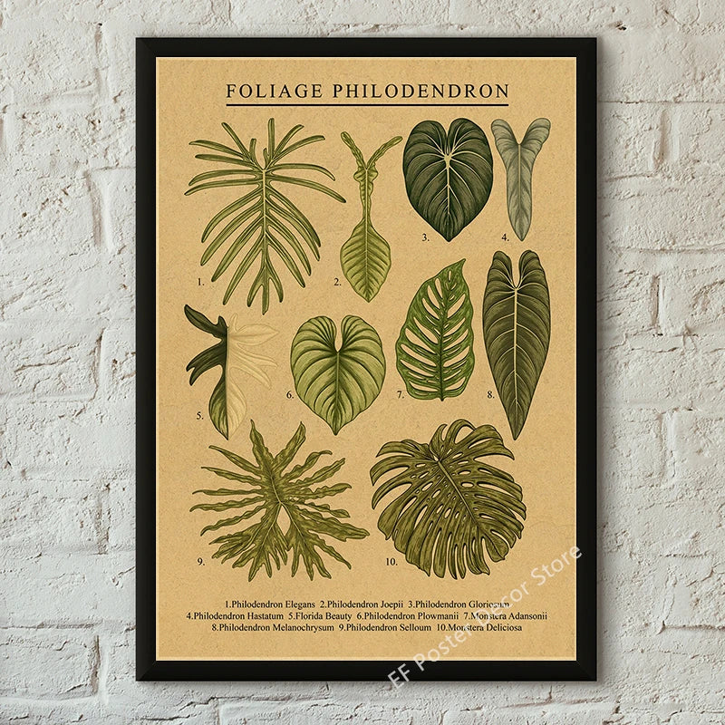 Vibey Botanical Retro Prints | Vintage Art Decor