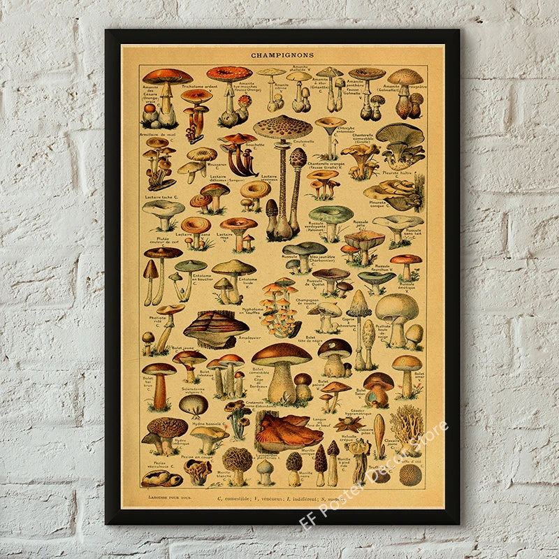 Vibey Botanical Retro Prints | Vintage Art Decor