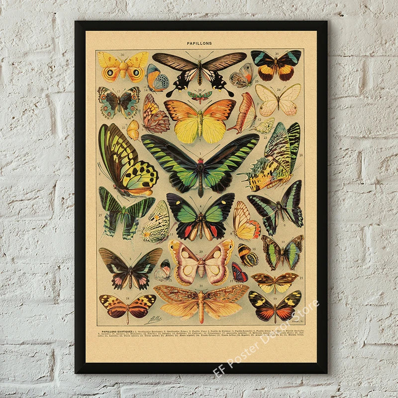 Vibey Botanical Retro Prints | Vintage Art Decor
