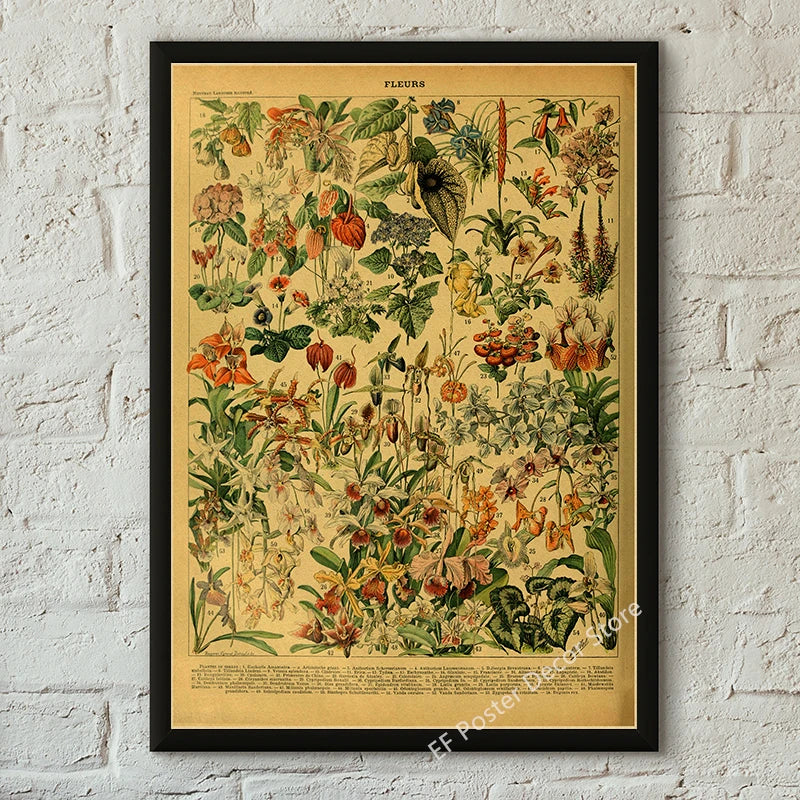 Vibey Botanical Retro Prints | Vintage Art Decor