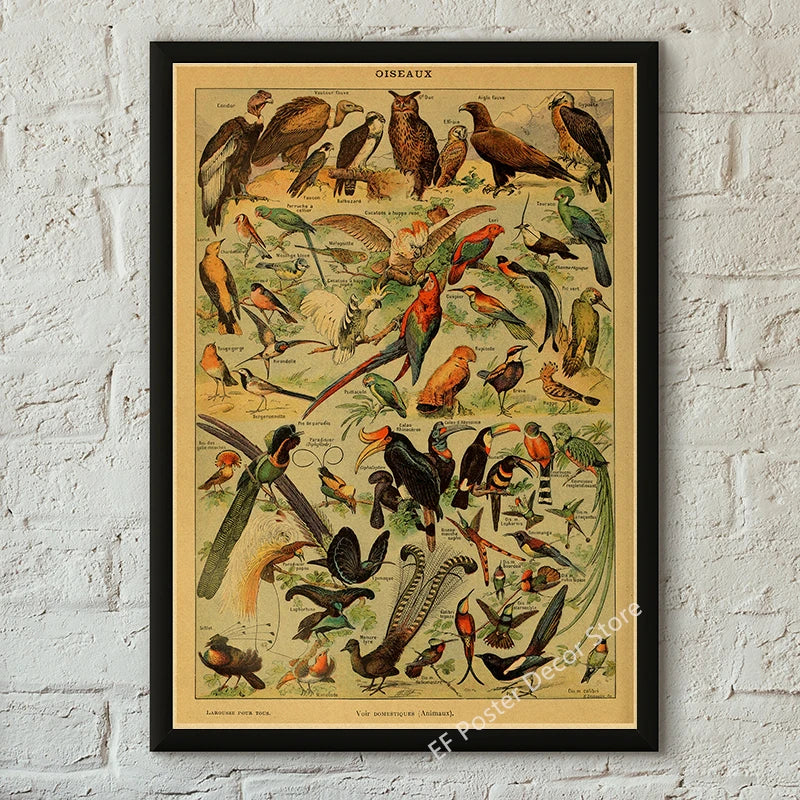 Vibey Botanical Retro Prints | Vintage Art Decor