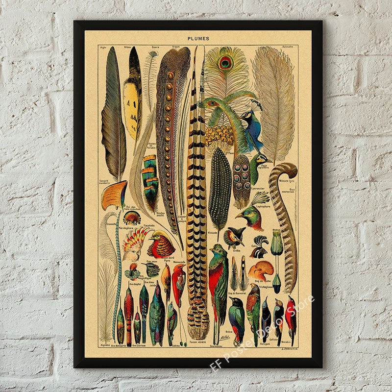 Vibey Botanical Retro Prints | Vintage Art Decor