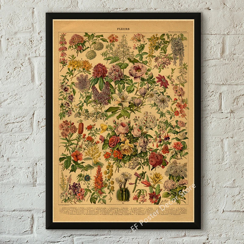 Vibey Botanical Retro Prints | Vintage Art Decor