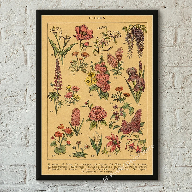 Vibey Botanical Retro Prints | Vintage Art Decor