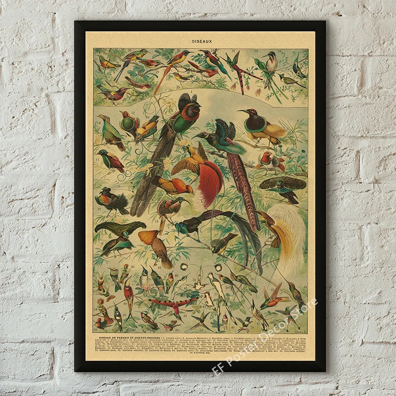 Vibey Botanical Retro Prints | Vintage Art Decor