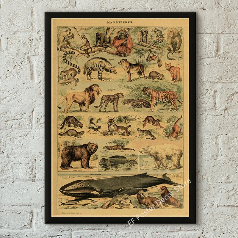 Vibey Botanical Retro Prints | Vintage Art Decor