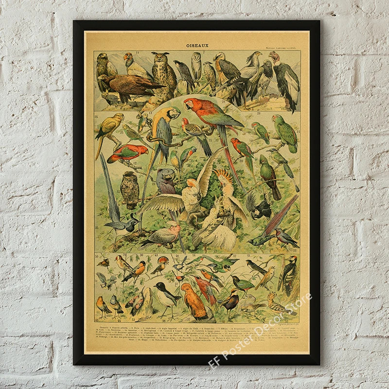 Vibey Botanical Retro Prints | Vintage Art Decor